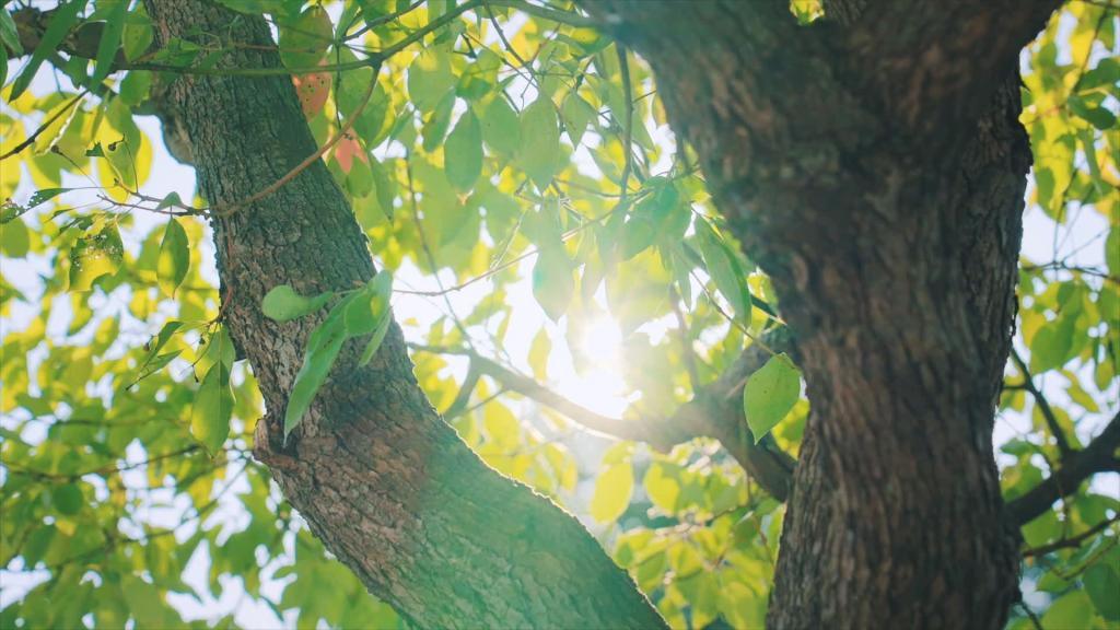 365Ӣ������(����)���޹�˾-Official website