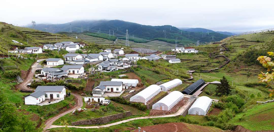 365Ӣ������(����)���޹�˾-Official website