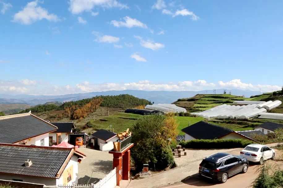 365Ӣ������(����)���޹�˾-Official website