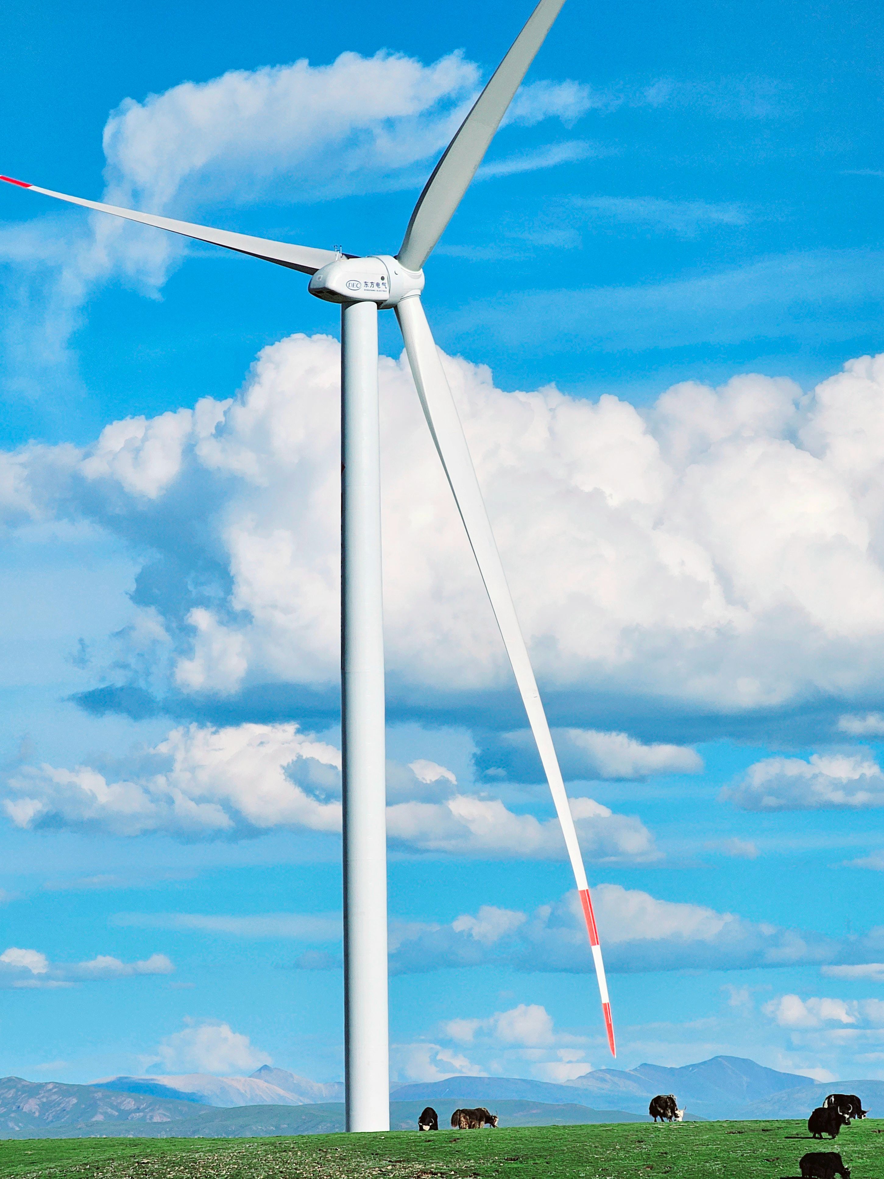 365Ӣ������(����)���޹�˾-Official website