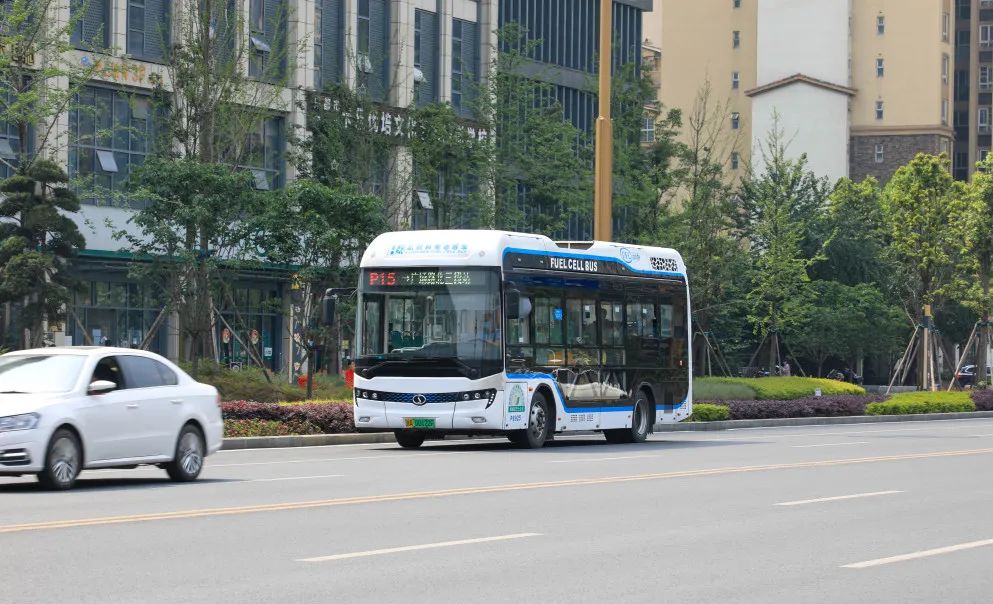 ����ɫ�ⶼ���ص���Ŀ������������������������ۯ���������ƽ����ܹ�ҵ��Ȧǿ��