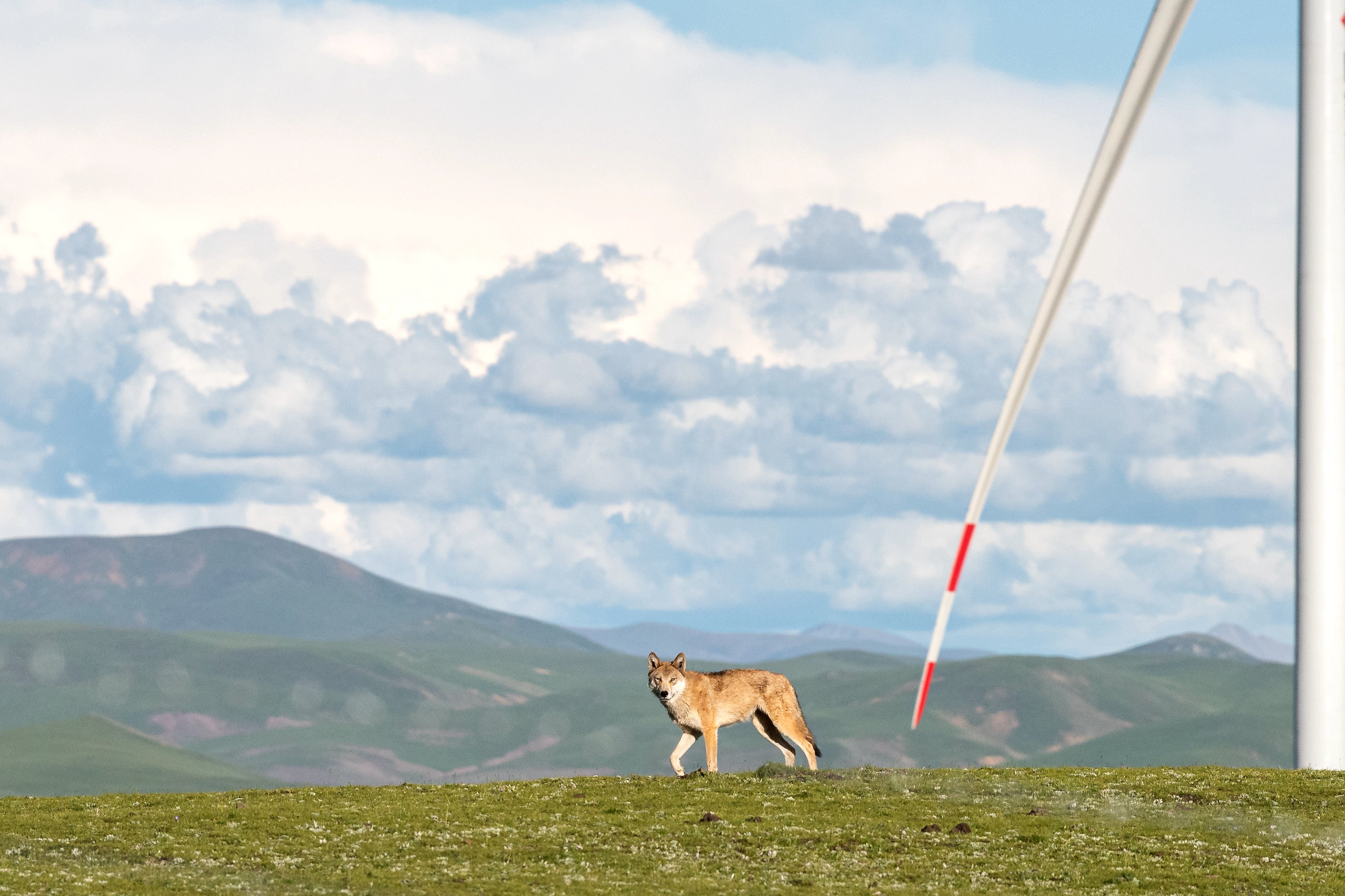 365Ӣ������(����)���޹�˾-Official website