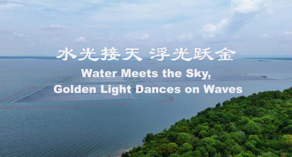 365Ӣ������(����)���޹�˾-Official website